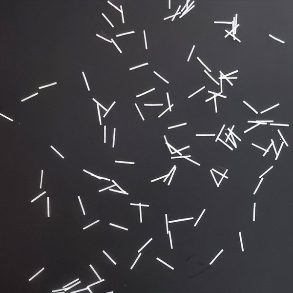 正反异色异段纤维